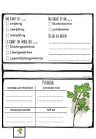 Vorschau - Arbeitsblätter - Kräuter - Flipbook (mit Lösungen) - Seite 3