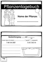 Vorschau - Unterrichtsreihen - Kräuter - Das Paket - Seite 3