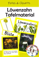 Vorschau - Präsentationen/Tafelbilder - Löwenzahn und Pusteblume - Tafelmaterial für die Lernwerkstatt - Deckblatt