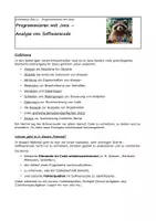 Vorschau - Arbeitsblätter - Programmieren mit Java – Analyse von Softwarecode - Deckblatt