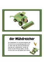 Vorschau - Bildkarten - Bauernhof Wissenskarten - Seite 3