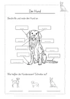 Vorschau - Arbeitsblätter - Hund Arbeitsblätter - Seite 3