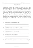 Vorschau - Stationenlernen - Lesetext mit Fragen: Bach und Teich - Seite 3