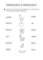 anteprima - Esercizi - ✏️ CONSOLIDAMENTO: Schede di letto-scrittura classe prima - Pagina 2