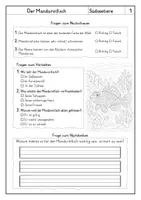 Vorschau - Arbeitsblätter - Lesen: Südseetiere - Leseverstehen - Seite 3