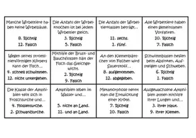 Vorschau - Stationenlernen - Bundle: Quizbingo (Biologie 5/6) - Seite 3