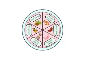 Vista previa - Manualidades / Dibujos para colorear - VERTEBRATE ANIMALS WHEEL - página 3