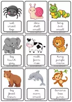 Vista previa - Juegos / Gamificación - VERTEBRATE ANIMALS TABOO GAME - página 3
