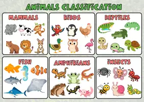 Vista previa - Decoración del aula - VERTEBRATE ANIMALS A3 POSTER - página 2