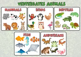 Vista previa - Decoración del aula - VERTEBRATE ANIMALS A3 POSTER - página 3