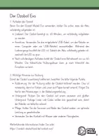 Vorschau - Stundenentwürfe - Ozobot Evo Einheit 7 Strecken mit Befehlen Pultperle - Seite 3