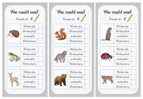 Vorschau - Spiele - Tiere im Winter – Freiarbeitsmaterial zu Winterschlaf, Winterruhe & Co | Kl. 2–3 - Seite 2