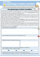 Vorschau - Arbeitsblätter - Nahrungsbeziehungen als biotischer Umweltfaktor (Nahrungsbeziehungen /Ernährungsstufen / Produzenten / Konsumenten / Destruenten / Nährstoffkreislauf Wald & Getreidefeld / Kreuzworträtsel / Ökologie / Biologie) - Seite 2