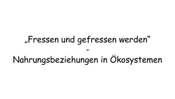 Vorschau - Arbeitsblätter - Nahrungsbeziehungen im Ökosystem - Trophieebenen und Nahrungsnetz | AB + Lösung | Sek I/II - Seite 3