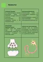 Vorschau - Arbeitsblätter - Mystery zu Koffein und Ritalin - Biologie Q1 - Seite 3
