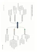 anteprima - Opere didattiche / Libri di testo - verbs + gerund or infinitive in inglese - Pagina 2
