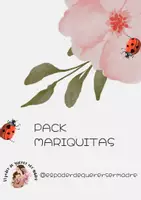 Vista previa - Tarjetas / Manipulativos - PACK MARIQUITAS - página 1