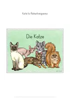 Vorschau - Stundenentwürfe - Katze Wissenskartei Arbeitsblätter Unterrichtseinheit - Seite 3