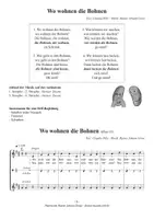 Vorschau - Arbeitsblätter - Wo wohnen die Bohnen - Spaß, Bewegung und Orff - RJ Gross - Seite 2