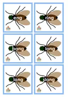 Voorbeeld - vliegenmepperspel ng/nk woorden - Voorblad