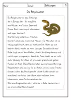 Vorschau - Arbeitsblätter - Lesen: Schlangen - Leseverstehen - Seite 1