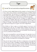 Vorschau - Arbeitsblätter - Tiger Lesetext mit Fragen + Lösungen Leseverstehen Wortspeicher didaktische Reserve Lesen Leseverständnis - Seite 3