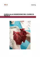 anteprima - Esperimenti - Guida alla dissezione di cuore di maiale - Pagina di copertina