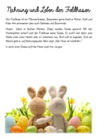 Vorschau - Arbeitsblätter - Wissenskartei Ostern und Ostertiere - Seite 2