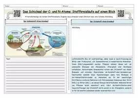 Vorschau - Stundenentwürfe - Kohlenstoffkreislauf & Stickstoffkreislauf - "Killersee-Krimi" | Komplette Stunde inkl. Verlaufsplan und Lösungen - Seite 1