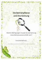 Vorschau - Arbeitsblätter - Forscherheft - Die Bohnenpflanze und ihre Keimung - Seite 1