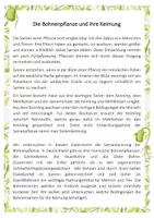 Vorschau - Arbeitsblätter - Forscherheft - Die Bohnenpflanze und ihre Keimung - Seite 2
