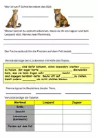 Vorschau - Arbeitsblätter - Lesetext Jaguar und Gepard mit Fragen - Seite 2