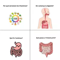 Vista previa - Hojas de trabajo - Flashcards Sistema Digestiu - Sisè de Primària - página 3