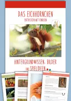 Vorschau - Spiele - DAS EICHHÖRNCHEN: Wissen, Bilder & Spiele (3-6 Jahre) - Deckblatt