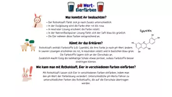 Vorschau - Arbeitsblätter - Experimente zu Ostern - pH-Wert Eierfärben (Klasse 9-10) - Seite 2