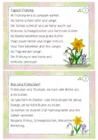 Vorschau - Fördermaterial/Inklusion - Abschreibkartei Frühling Klasse 2 - Seite 2