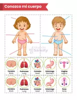 Vista previa - Juegos / Gamificación - Recortable: Conozco mi cuerpo - Portada