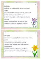 Vorschau - Fördermaterial/Inklusion - Abschreibkartei Frühling Klasse 2_Schreibschrift - Seite 3