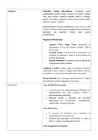 anteprima - UdA - UdA Carnevale_ Laboratorio "Il volo che Sento" - Pagina 2