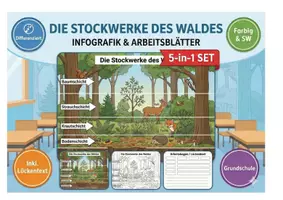 Vorschau - Arbeitsblätter - Stockwerke des Waldes XXL Paket | Infografik, Lesetext & interaktive Arbeitsblätter - Deckblatt