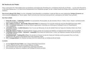 Vorschau - Arbeitsblätter - Stockwerke des Waldes XXL Paket | Infografik, Lesetext & interaktive Arbeitsblätter - Seite 1