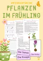 Vorschau - Unterrichtsreihen - Pflanzen im FRÜHLING - Sachtexte und Steckbriefe - Deckblatt