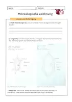 Vorschau - Arbeitsblätter - Einführung in Mikroskopische Zeichnungen mit Feedbackbogen - Deckblatt