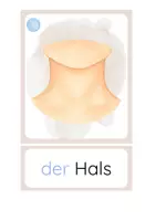 Vorschau - Fördermaterial/Inklusion - DaZ - der Körper - Bild- und Wortkarten - Seite 2