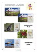Vorschau - Stundenentwürfe - Musik Frühlingslied Wenn der Frühling kommt Unterrichtsstunde Singen und Musizieren • sofort einsetzbar Klasse 2-4 - Seite 3