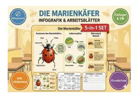 Vorschau - Arbeitsblätter - Der Marienkäfer XXL Paket | Infografik, Lesetext & Arbeitsblätter (inkl. Lösungen) - Deckblatt