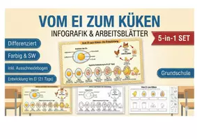 Vorschau - Mal- und Bastelvorlagen - Vom Ei zum Küken Entwicklung Lebenszyklus (5-in-1 Set) - Deckblatt
