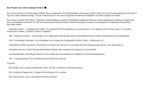 Vorschau - Mal- und Bastelvorlagen - Vom Ei zum Küken Entwicklung Lebenszyklus (5-in-1 Set) - Seite 1