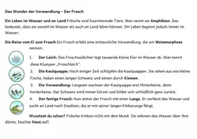 Vorschau - Arbeitsblätter - Lebenszyklus Frosch - Seite 3