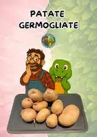anteprima - Esperimenti - Esperimento olfattivo sui germogli delle patate - Pagina di copertina